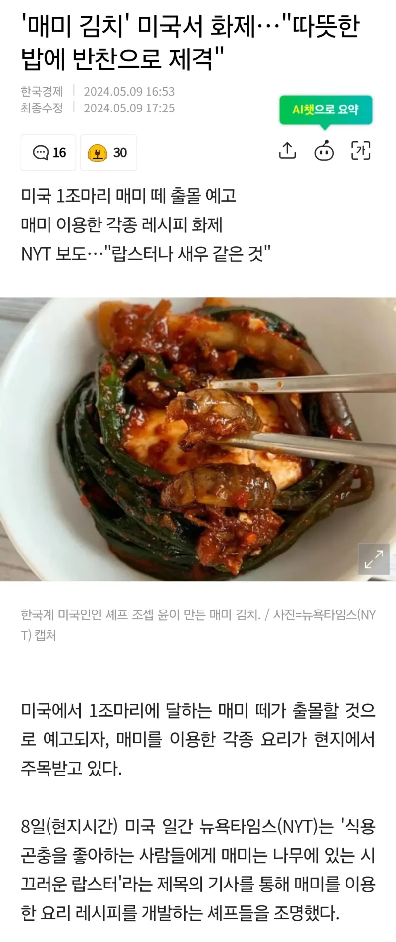 '매미 김치' 미국서 화제…"따뜻한 밥에 반찬으로 제격" | 인스티즈