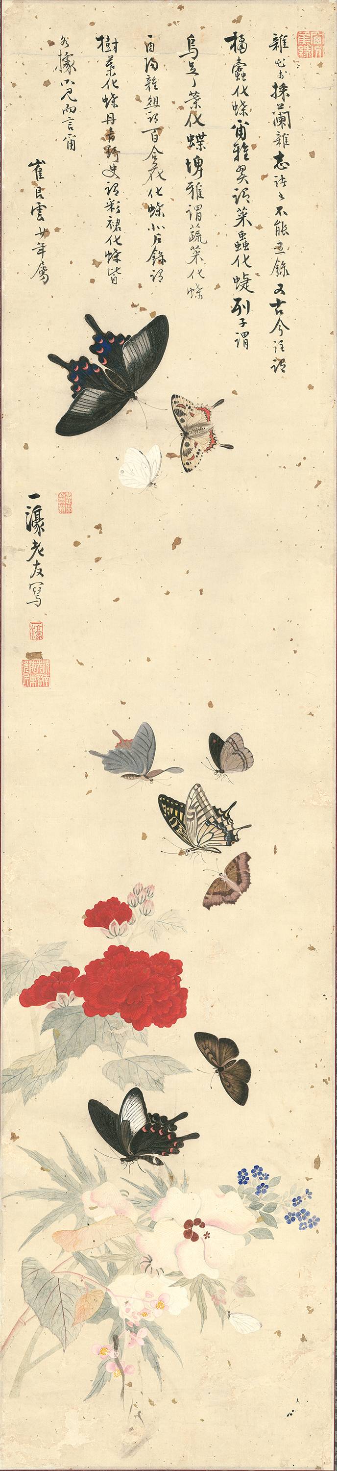 나비를 정말 잘 그렸던 조선시대의 나비 처돌이 화가 | 인스티즈