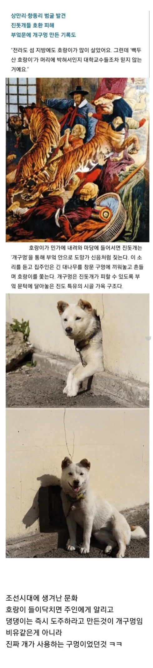 개구멍이 한국의 유서깊은 가옥구조인 이유 | 인스티즈