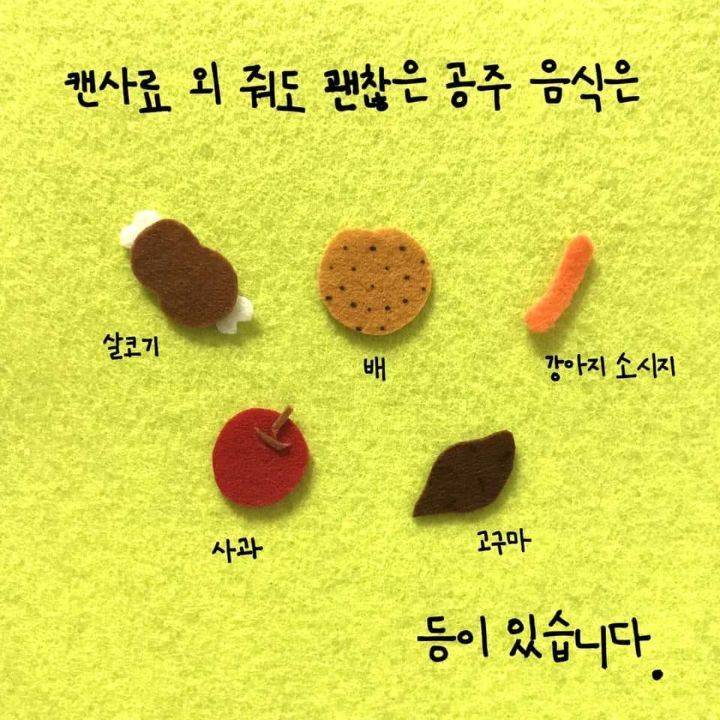 늙은 강아지 돌보는 법에 대한 아빠의 편지 | 인스티즈