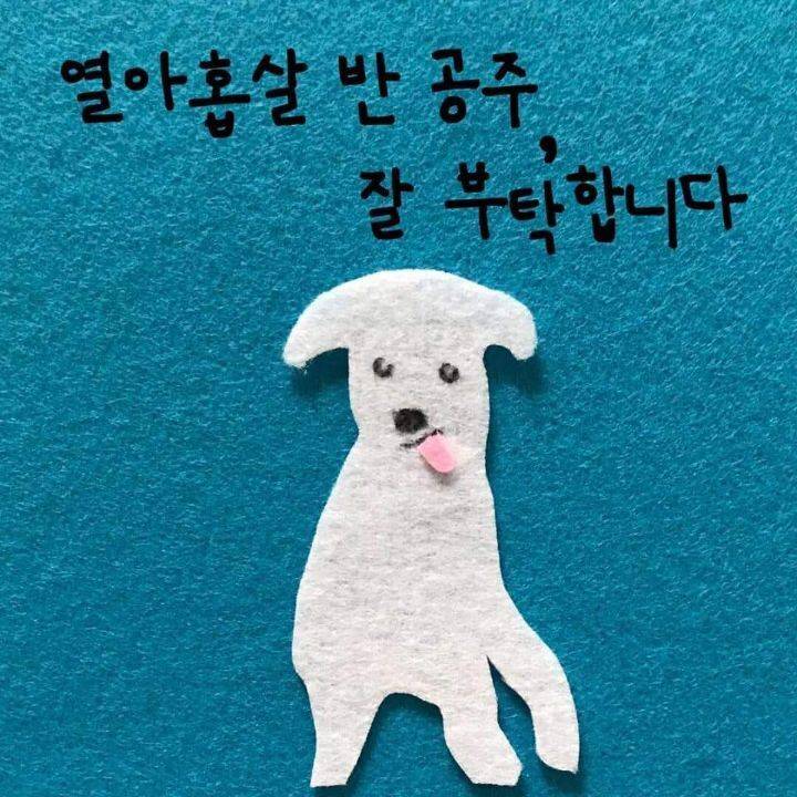 늙은 강아지 돌보는 법에 대한 아빠의 편지 | 인스티즈