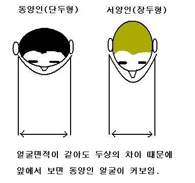 동양인과 서양인은 왜 다르게 생겼을까? | 인스티즈