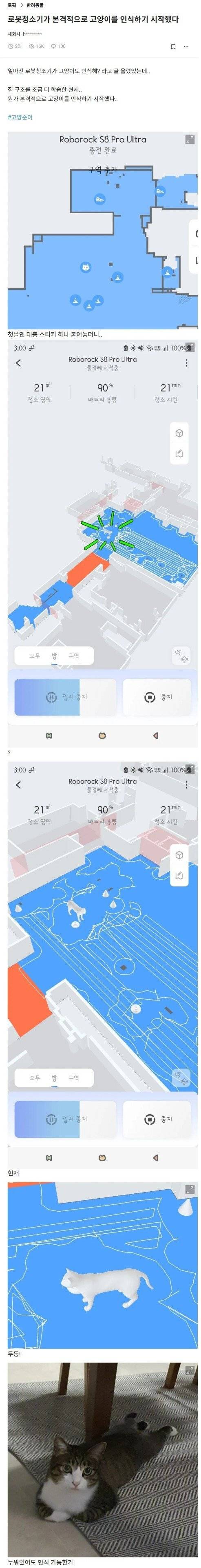 고양이를 인지한 로봇청소기.jpg | 인스티즈