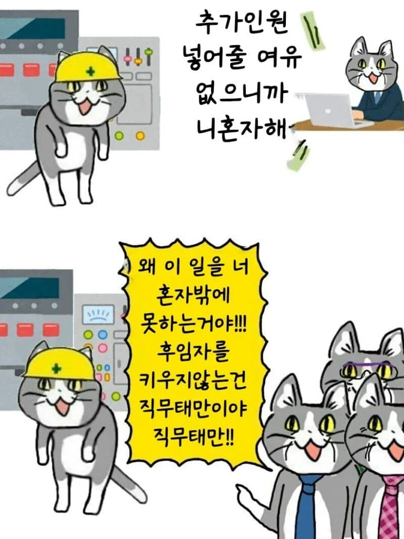 고양이