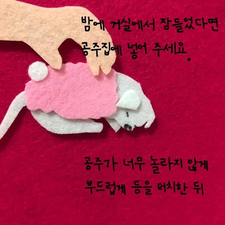 늙은 강아지 돌보는 법에 대한 아빠의 편지 | 인스티즈