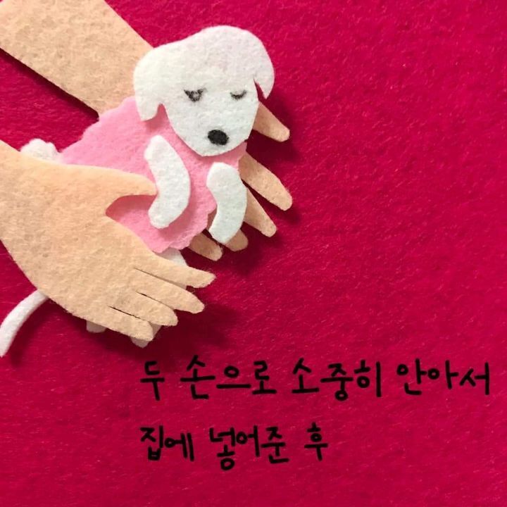 늙은 강아지 돌보는 법에 대한 아빠의 편지 | 인스티즈