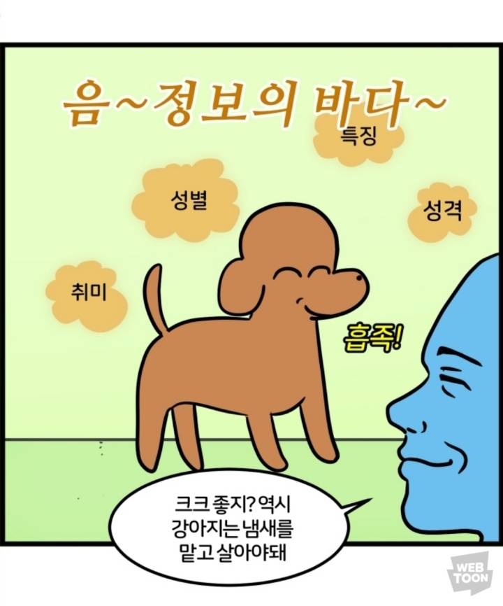 강아지 산책할때 일부 견주들이 공감 하는 불공평 똥꼬 | 인스티즈