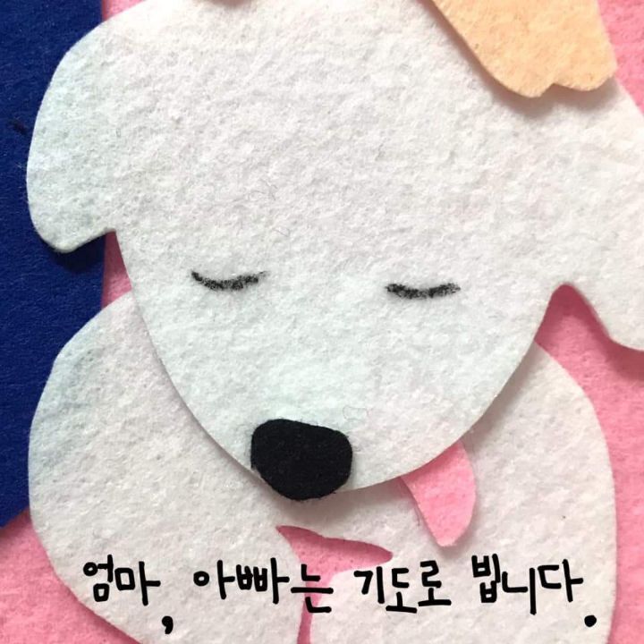 늙은 강아지 돌보는 법에 대한 아빠의 편지 | 인스티즈
