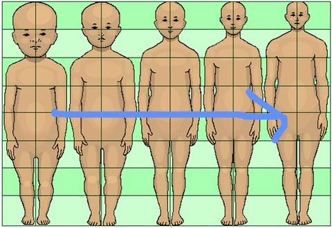 동양인과 서양인은 왜 다르게 생겼을까? | 인스티즈