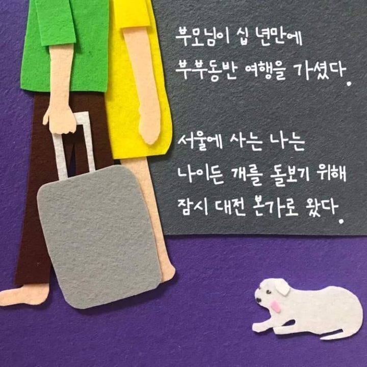 늙은 강아지 돌보는 법에 대한 아빠의 편지 | 인스티즈