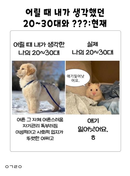 어릴 때 생각했던 나의 20-30대 | 인스티즈