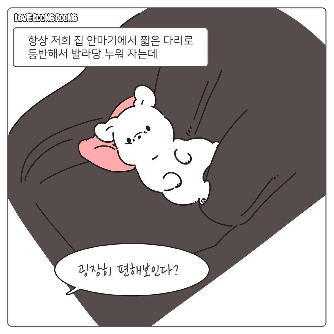 경동 나비엔~소리만 들어도 방으로 되돌아가는 댕댕이ㅋㅋㅋ.Manhwa | 인스티즈