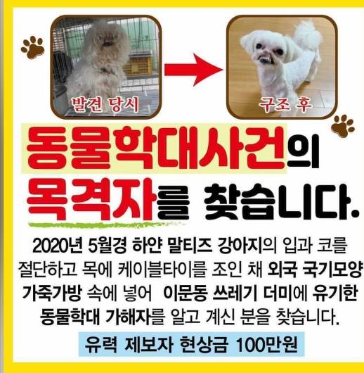 서울 동대문구 이문동에서 강아지 코와 입을 자르고 케이블 타이를 목에 죄여 가방안에 넣고 유기한 사람을 찾습니다 | 인스티즈