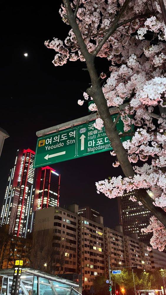 스압) 외국인들이 '한국 감성'을 느낀다는 감성 샷들.........⭐🌟.JPG | 인스티즈