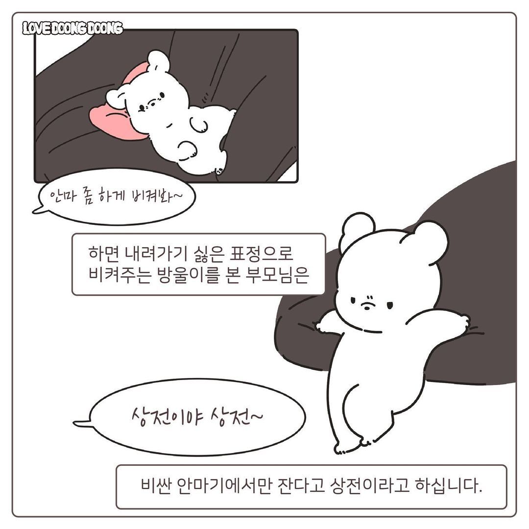 경동 나비엔~소리만 들어도 방으로 되돌아가는 댕댕이ㅋㅋㅋ.Manhwa | 인스티즈