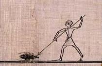 이집트 벽화에 기록된 바퀴벌레 | 인스티즈