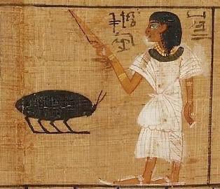 이집트 벽화에 기록된 바퀴벌레 | 인스티즈