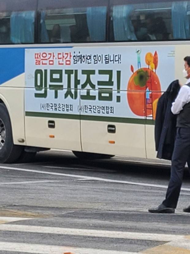 한국떫은감협회 있는거 알아? | 인스티즈