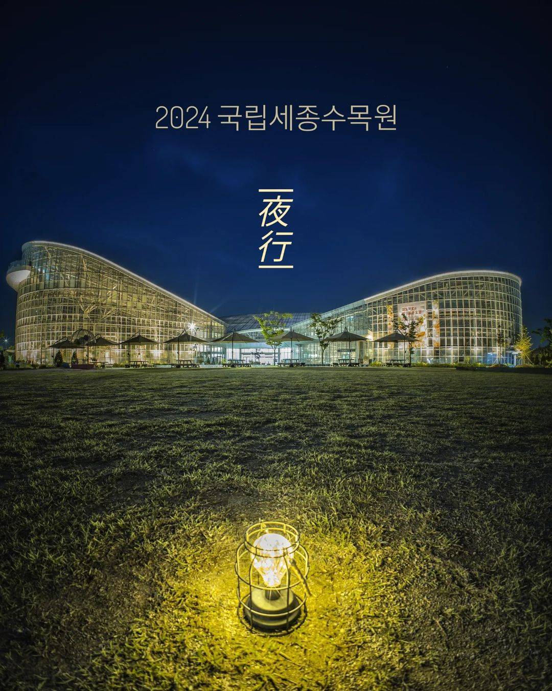 2024 국립세종수목원 야행(夜行) | 인스티즈