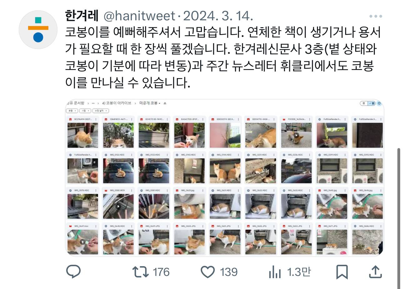 한겨레 신문사에 자리잡은 '털 찐' 고양이 코봉이 | 인스티즈