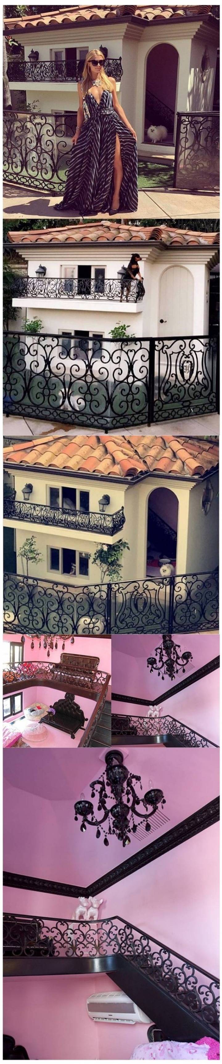 패리스힐튼이 키우는 댕댕이집 | 인스티즈