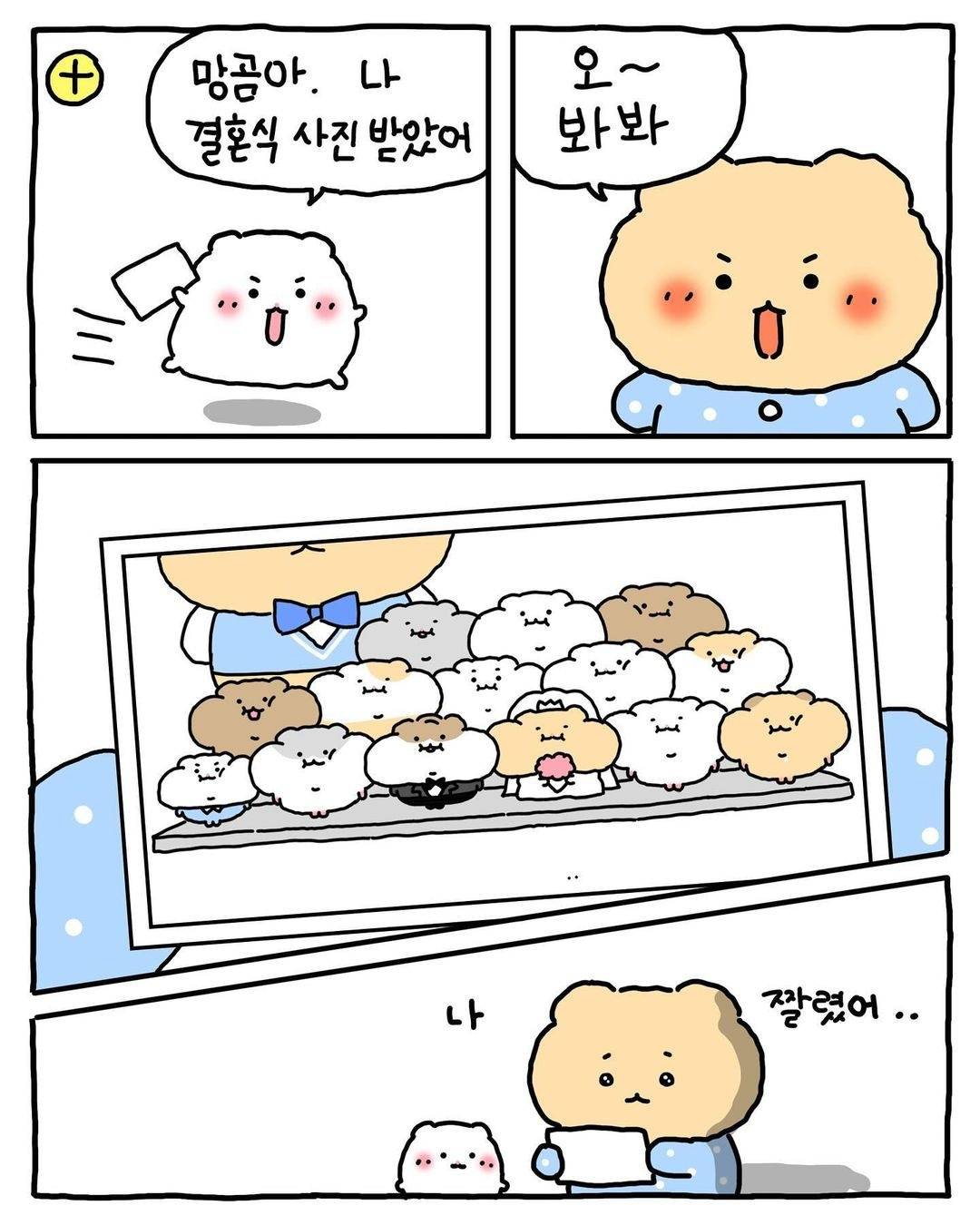 (망그러진곰) 색다른 경험이었어 🐹 | 인스티즈