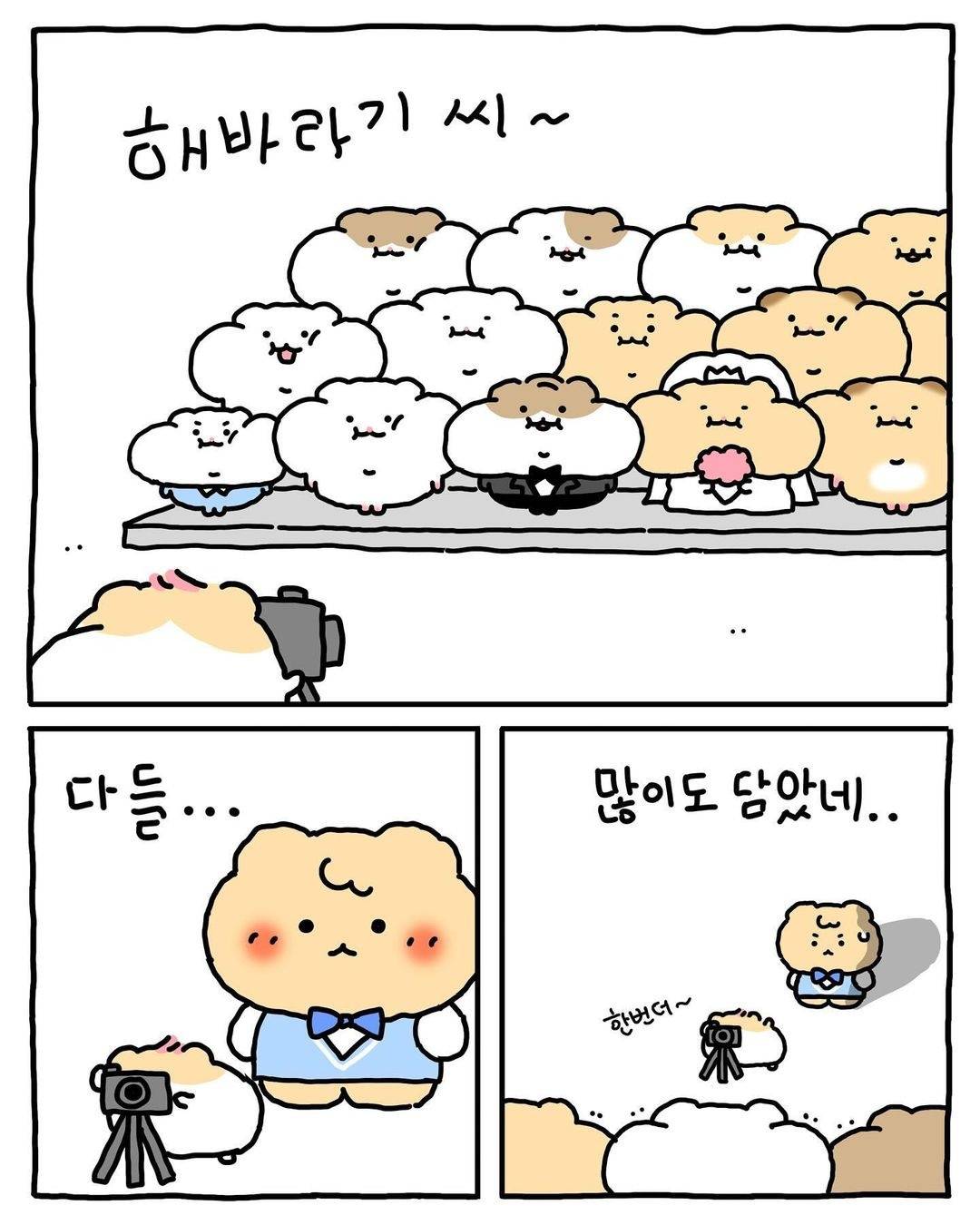 (망그러진곰) 색다른 경험이었어 🐹 | 인스티즈