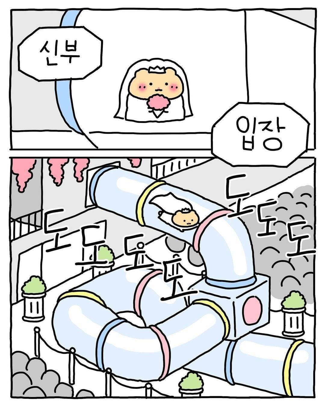 (망그러진곰) 색다른 경험이었어 🐹 | 인스티즈