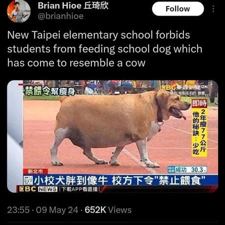 대만의 한 초등학교에서 금지시킨것 | 인스티즈