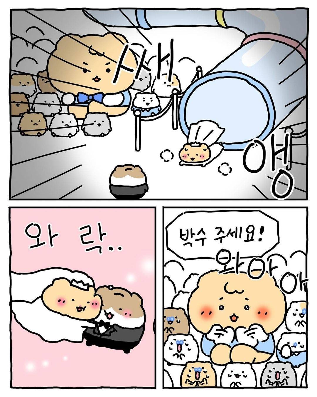 (망그러진곰) 색다른 경험이었어 🐹 | 인스티즈