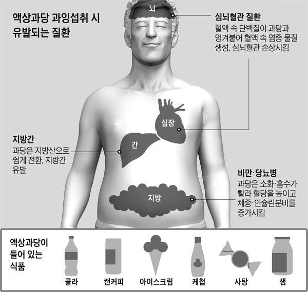 액상과당 과잉섭취의 위험성 | 인스티즈