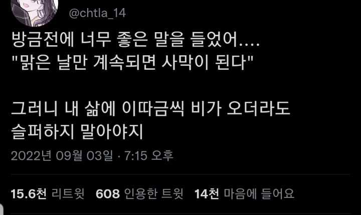 구겨짐을 두려워하지 않을 때, 비로소 나는 나의 삶을 산다.twt | 인스티즈