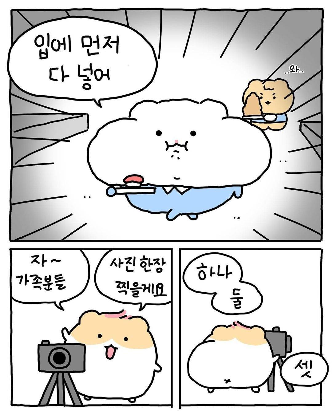 (망그러진곰) 색다른 경험이었어 🐹 | 인스티즈