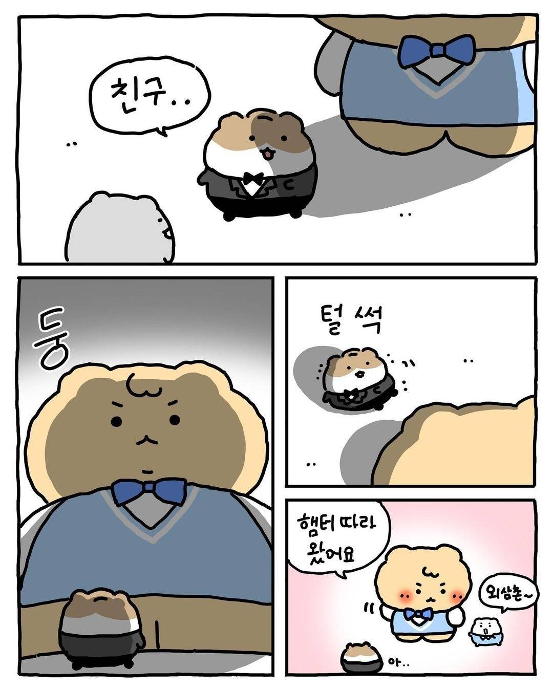 (망그러진곰) 색다른 경험이었어 🐹 | 인스티즈