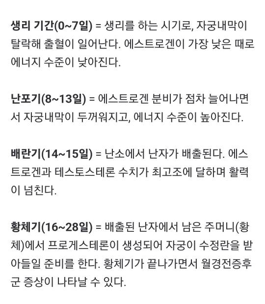 "女생리 때 운동 해야돼?"...주기 따라 좋은 식품과 운동 다르다? | 인스티즈