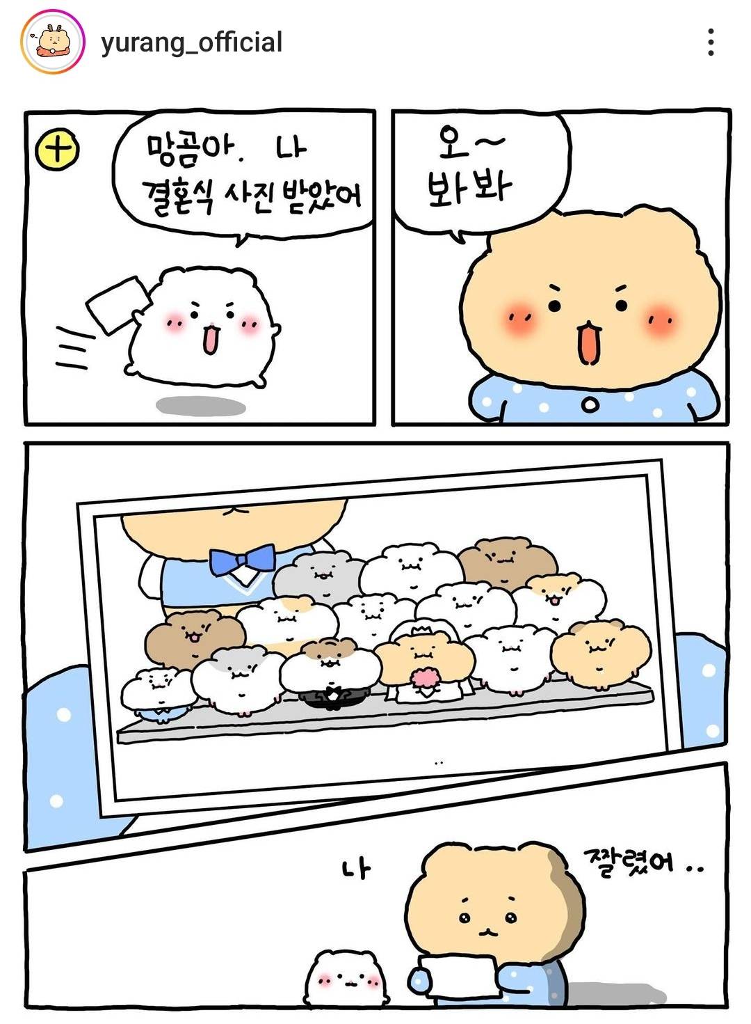 [망그러진곰] 햄스터 결혼식 | 인스티즈