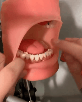 nokbeon.net-치과의사가 원하는