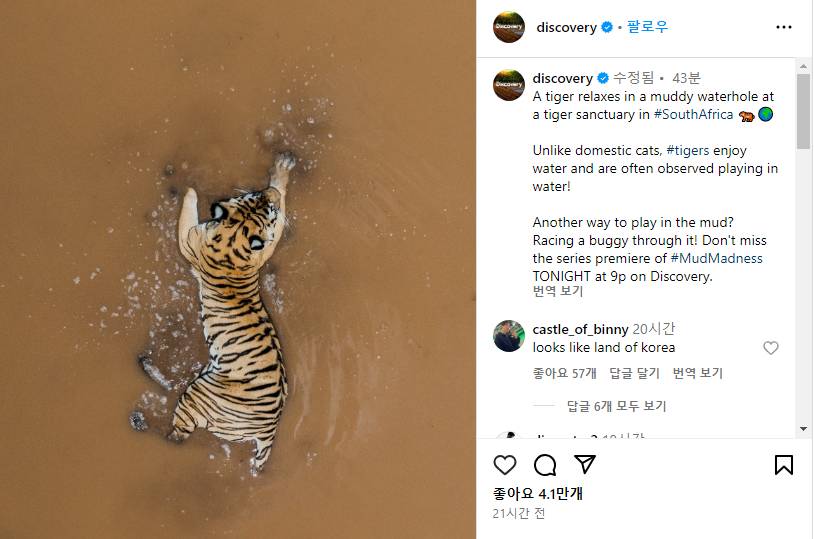 nokbeon.net-디스커버리가 올린 호랑이 사진.jpg-1번 이미지