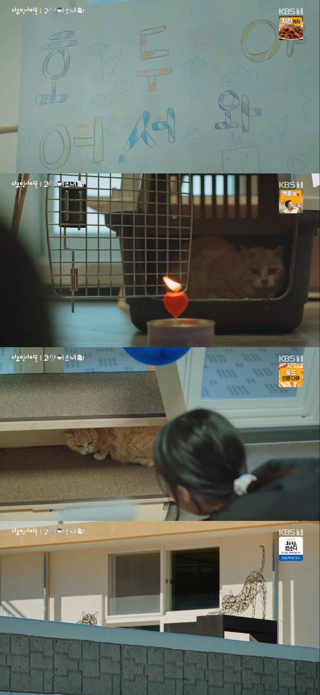 귀엽고 따뜻하고 찡한 고양이 다큐 '고양이 소녀'.gif | 인스티즈