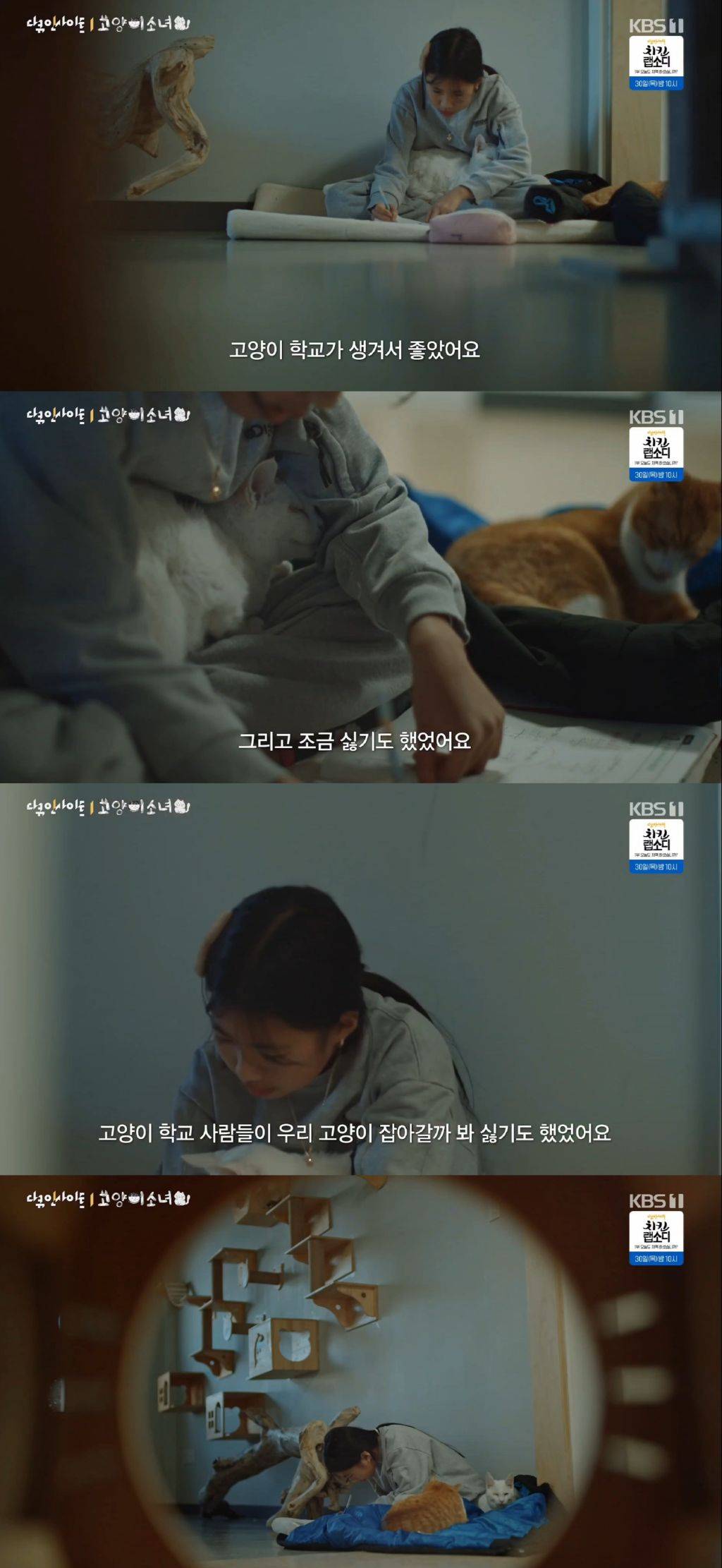 귀엽고 따뜻하고 찡한 고양이 다큐 '고양이 소녀'.gif | 인스티즈