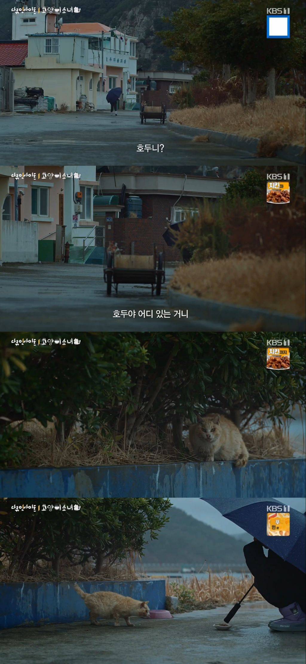 귀엽고 따뜻하고 찡한 고양이 다큐 '고양이 소녀'.gif | 인스티즈