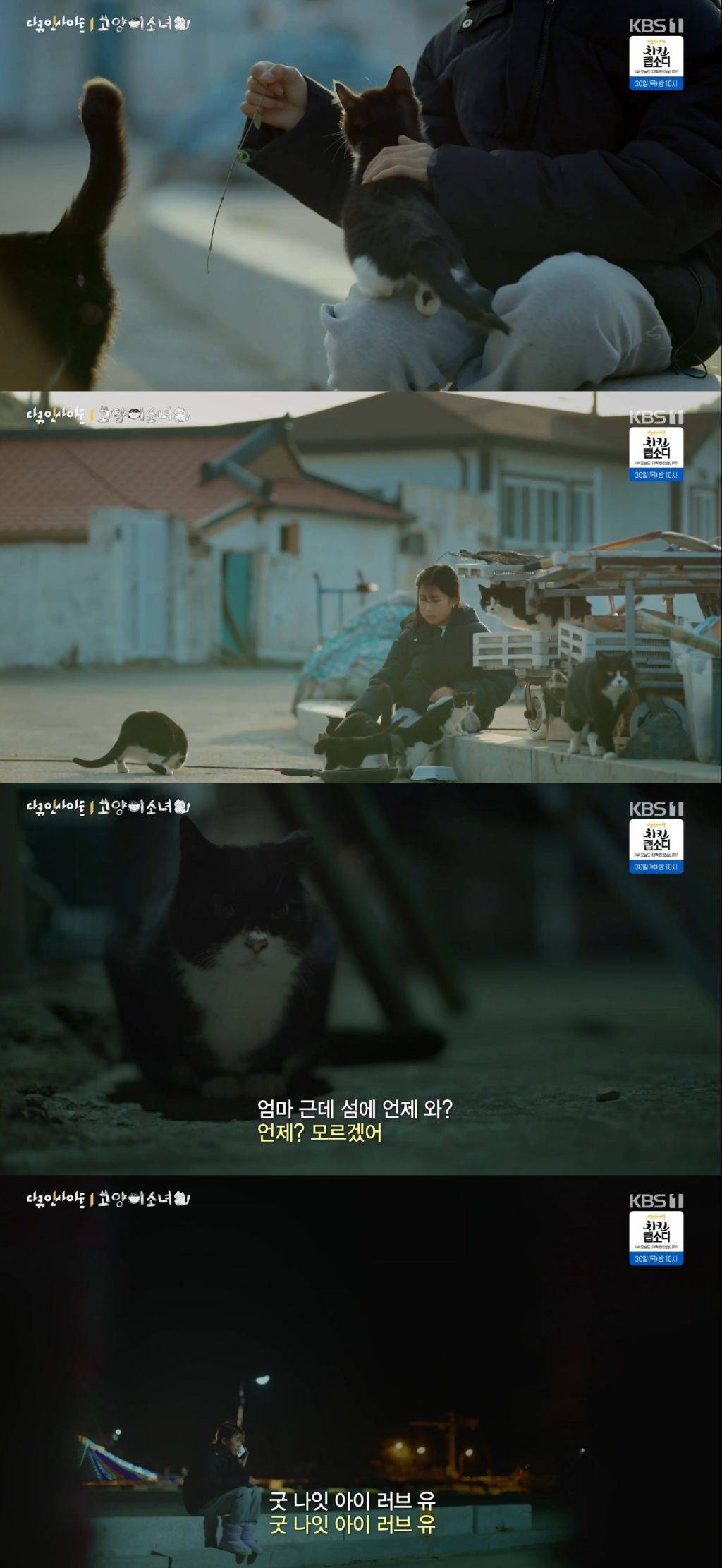 귀엽고 따뜻하고 찡한 고양이 다큐 '고양이 소녀'.gif | 인스티즈