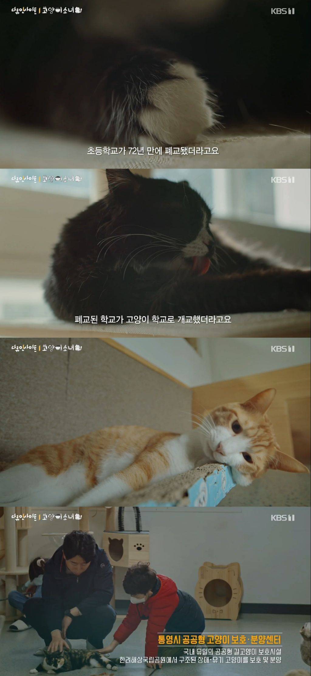 귀엽고 따뜻하고 찡한 고양이 다큐 '고양이 소녀'.gif | 인스티즈