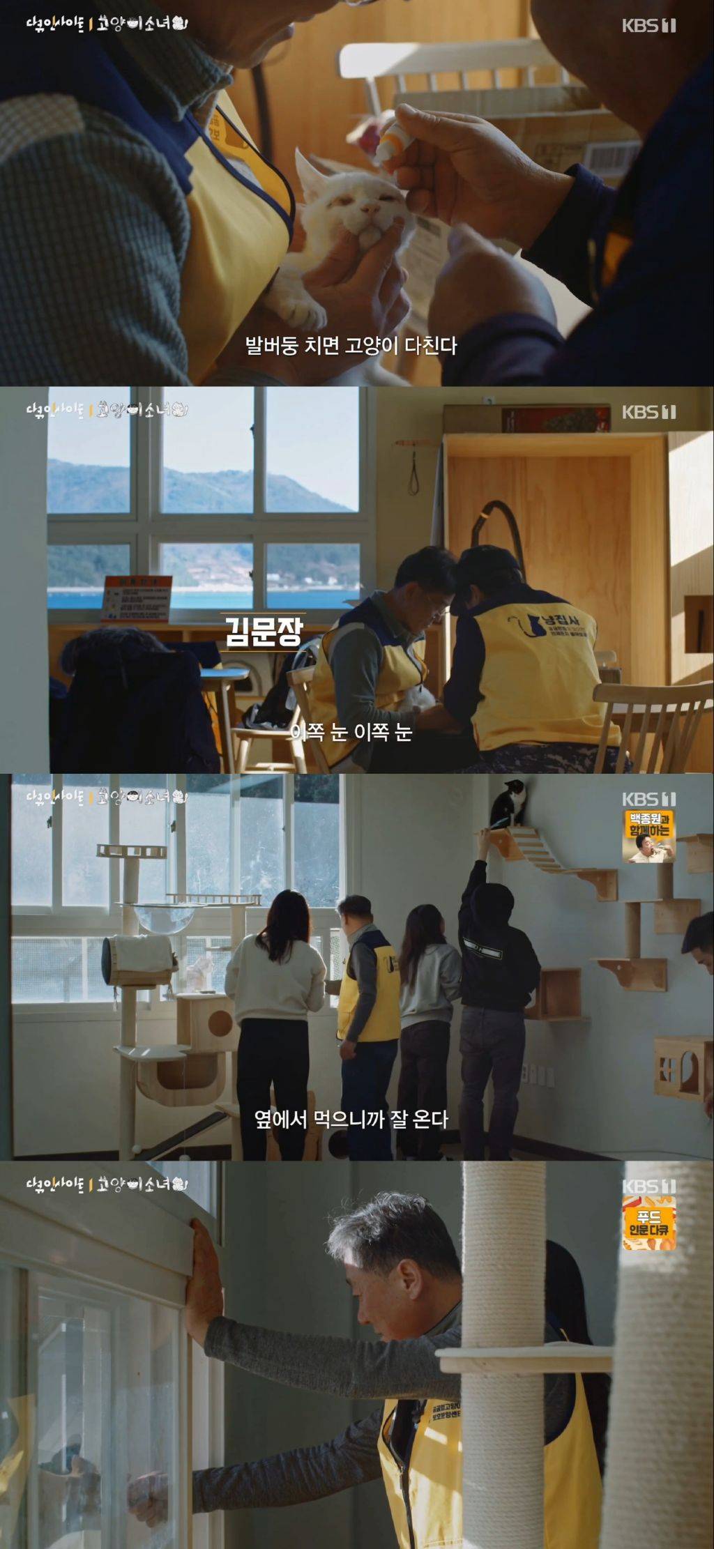 귀엽고 따뜻하고 찡한 고양이 다큐 '고양이 소녀'.gif | 인스티즈