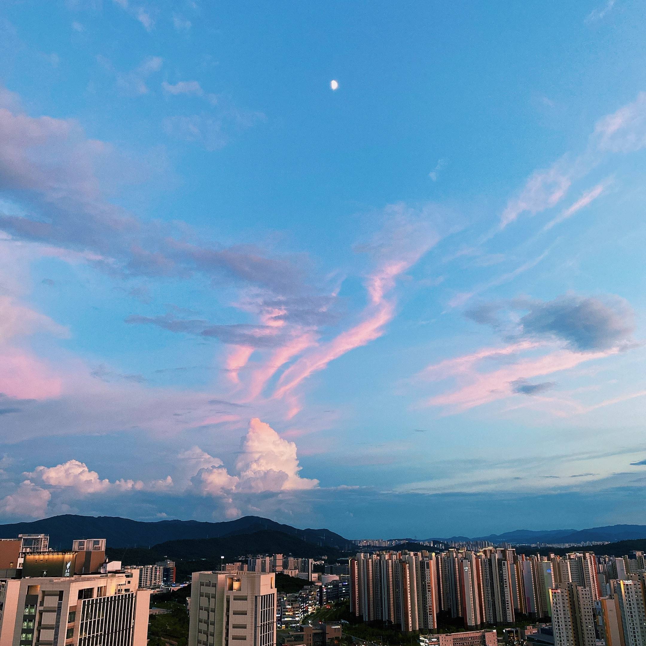 대한민국 방방곡곡 싱그러운 여름의 맛🩵 | 인스티즈