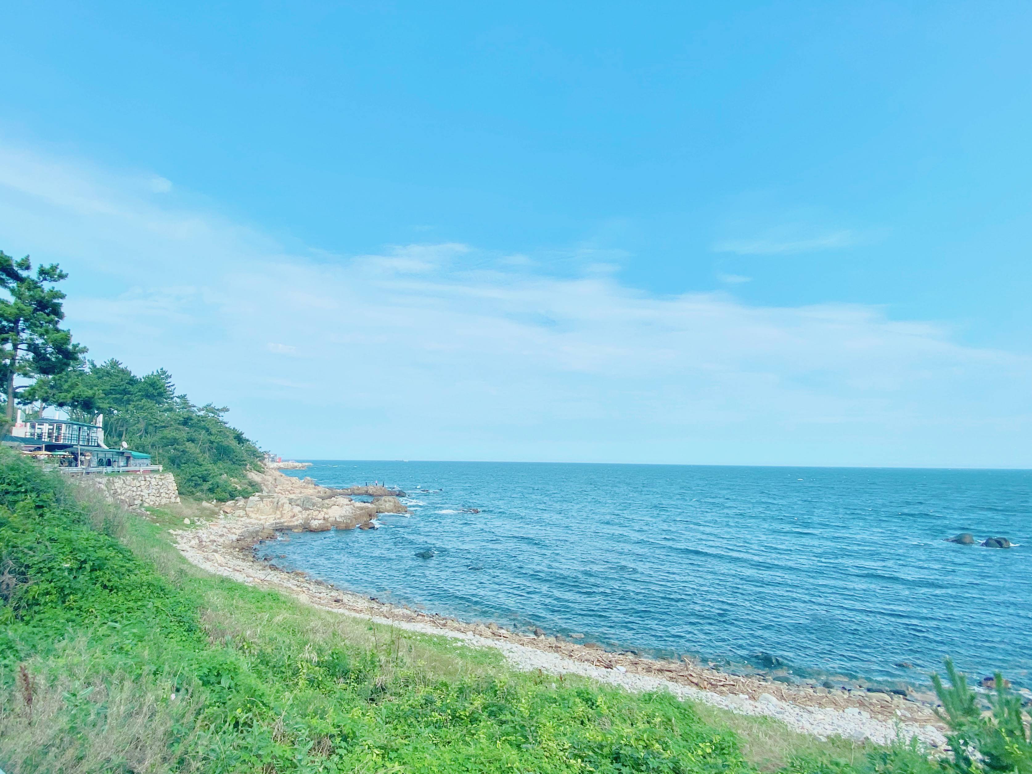 대한민국 방방곡곡 싱그러운 여름의 맛🩵 | 인스티즈