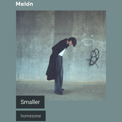 homezone - Smaller | 인스티즈