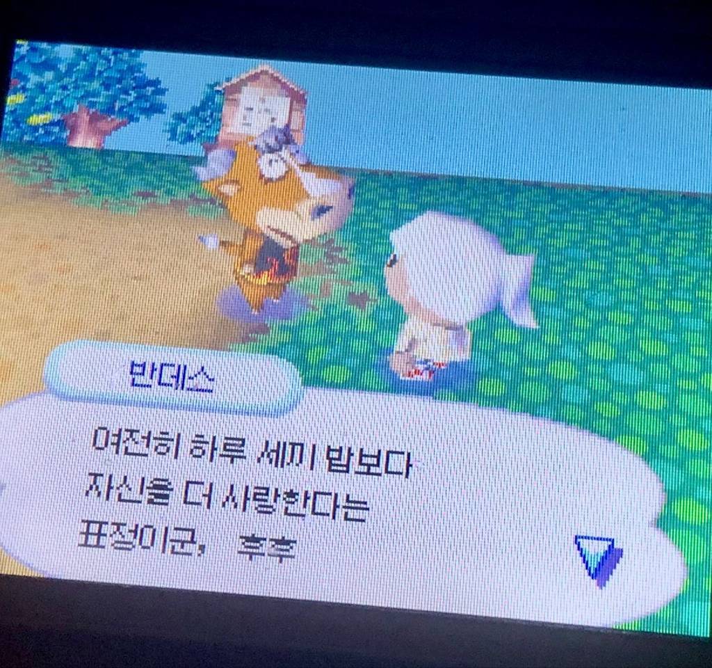 은근 힐링된다는 동물의 숲 말풍선 짤 모음 | 인스티즈