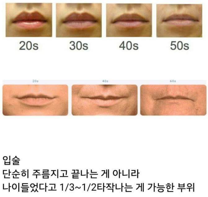 나이가 들면 입술이 없어짐 | 인스티즈