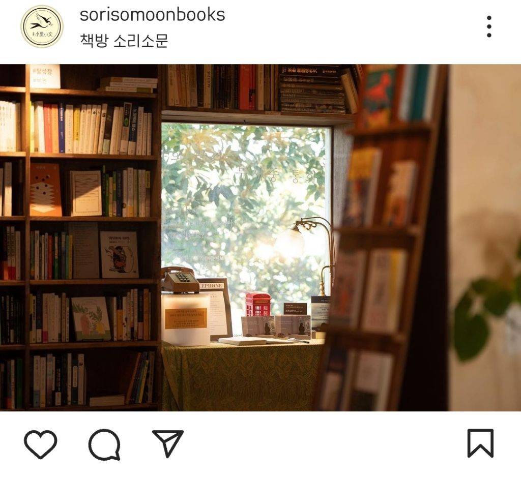 죽기 전에 꼭 한번 가봐야 할 서점으로 한국 최초로 선정된 제주 서점 소리소문 - 인스티즈(instiz) 이슈 카테고리